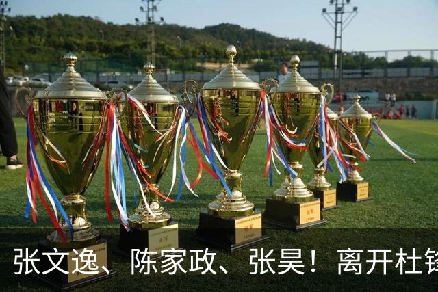 张文逸、陈家政、张昊！离开杜锋不会打球了，也没有上场时间了
