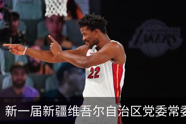 新一届新疆维吾尔自治区党委常委简历
