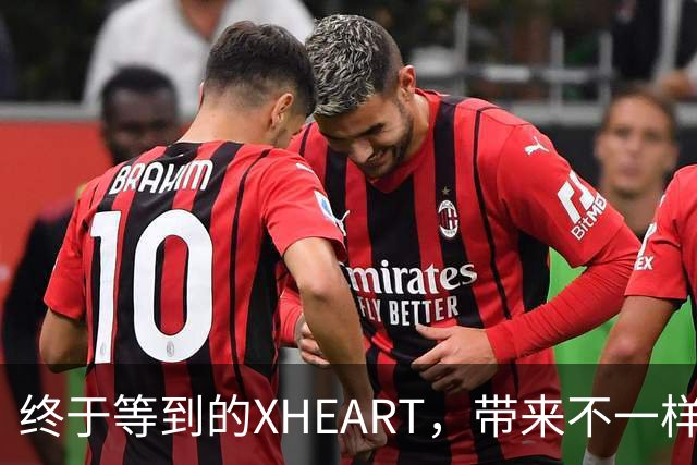 终于等到的XHEART，带来不一样的大模型芯片视角