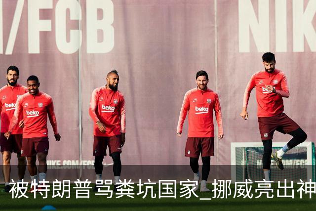 被特朗普骂"粪坑国家" 挪威亮出"神仙公厕"反击