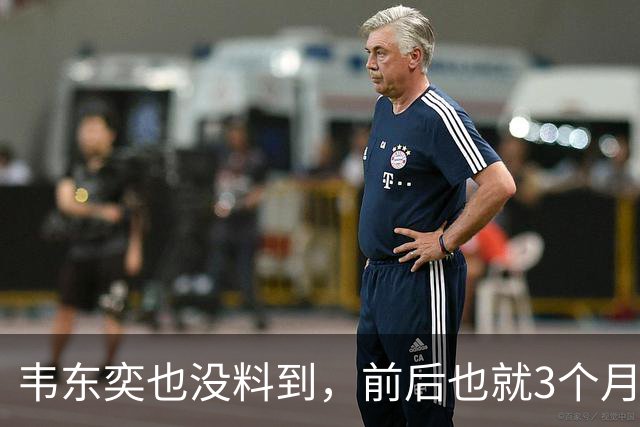 韦东奕也没料到，前后也就3个月，王虹竟再向学术界亮出“王牌”
