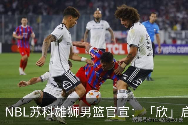 NBL苏科雄狮男篮官宣：「欣」启新章，欢迎王欣瑞加盟